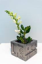 Load image into Gallery viewer, A002 (Third Nature)