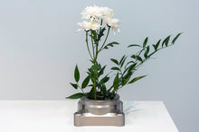 Load image into Gallery viewer, A004 (Third Nature)