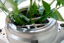 Load image into Gallery viewer, A004 (Third Nature)