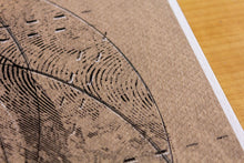 Load image into Gallery viewer, Flourish Minted Edition Print